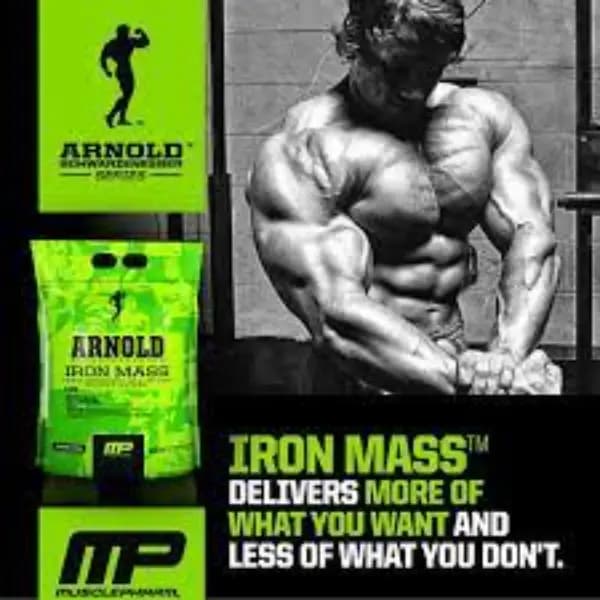 Arnold Irom Mass Gainer Powder 1kg/1000Gm